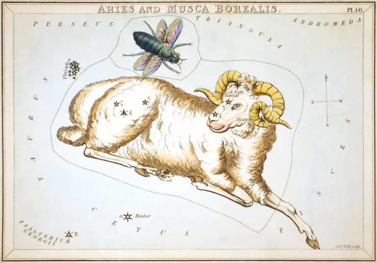 Belier constellation