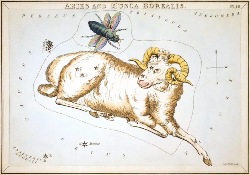 Belier constellation