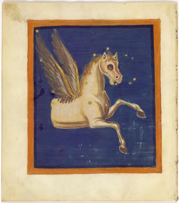 Aratea pegasus, origine et mythe