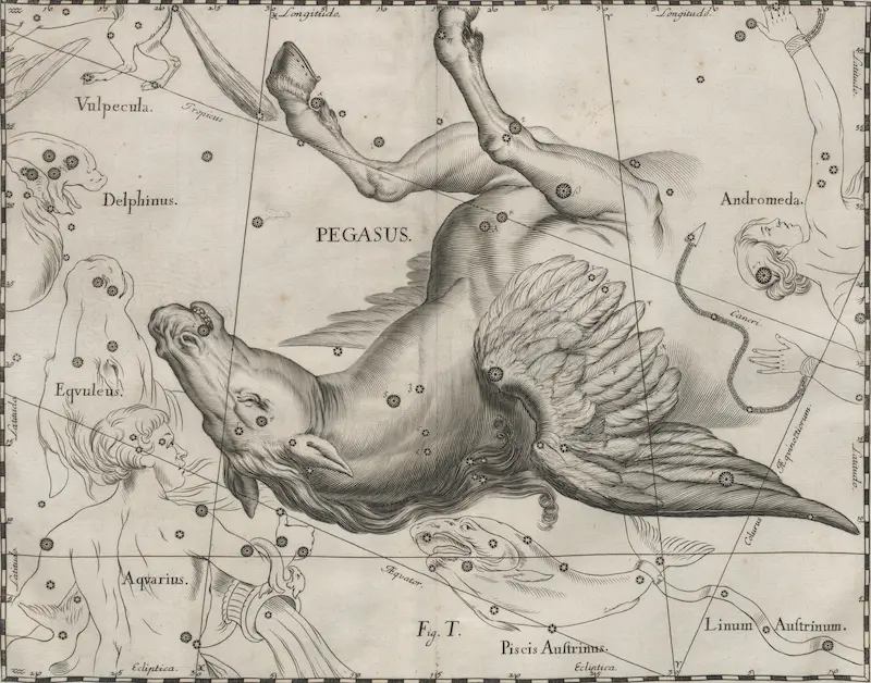 Pegasus constellation
