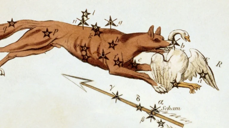 constellation de la flèche