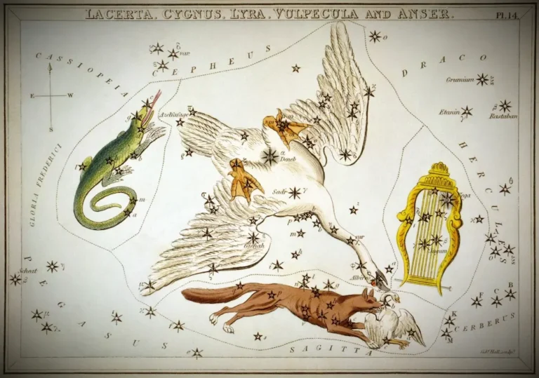 constellation du petit renard