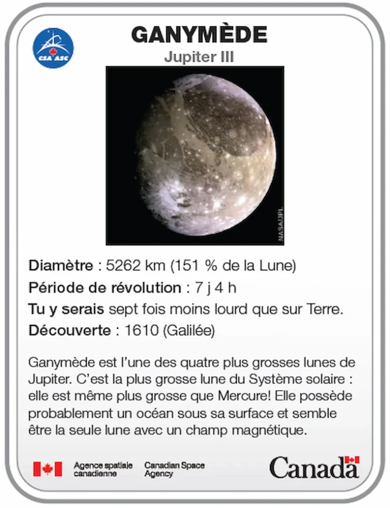 Carte d'identité lune Ganymède